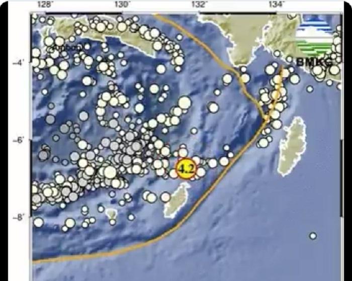 Gempa-bumi-magnitudo-42-guncang-Timur-Laut-Maluku-Tenggara-Barat-Kamis-1112024.jpg