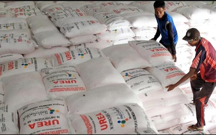 HARGA-PUPUK-Potret-penjual-pupuk-di-Kecamatan-Cina-Kabupaten-Bone.jpg