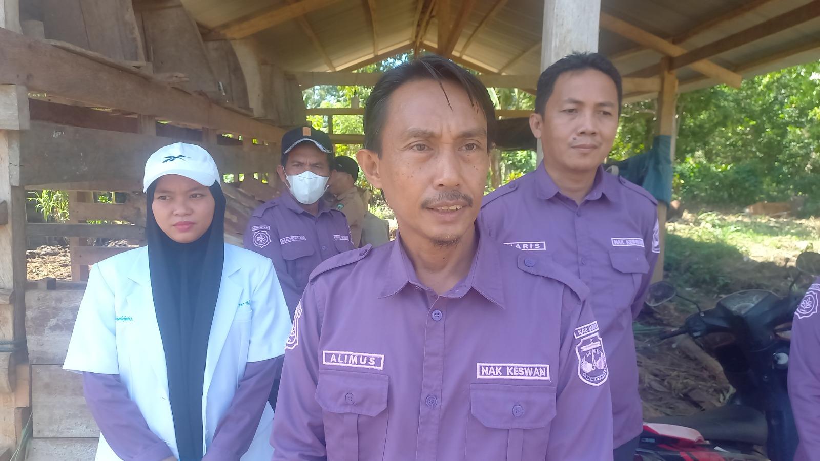 Dinas Pertanian Luwu Pastikan Hewan Kurban Bebas PMK dan Brucellosis