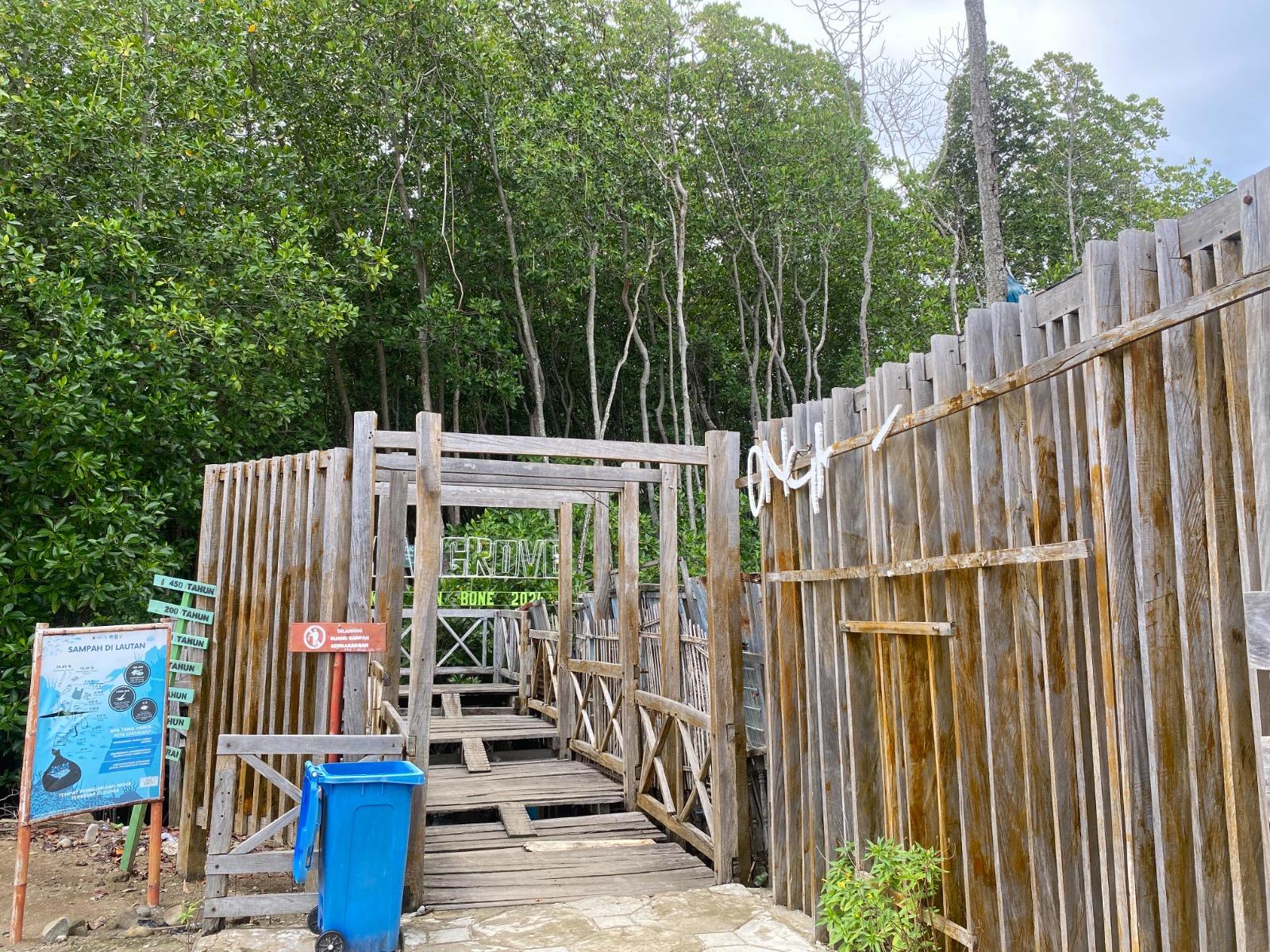 VIDEO: Hutan Mangrove Tongke Tongke Sinjai Memprihatinkan