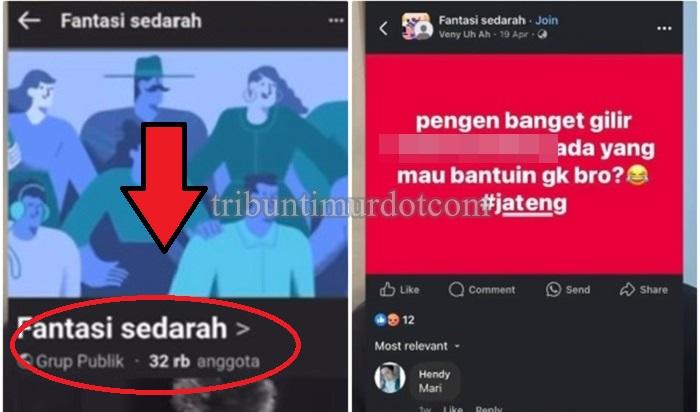 Heboh-Grup-Facebook-Fantasi-Sedarah-32-Ribu-Anggotanya-Penyuka-Hubungan-Inses-Sahroni-Menjijikkan.jpg