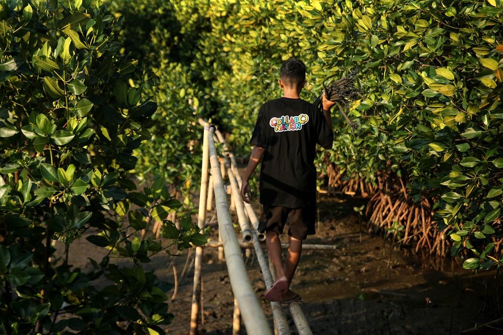 Indosat Ooredoo Hutchison Selamatkan Bumi Lewat Program Tanam Oksigen