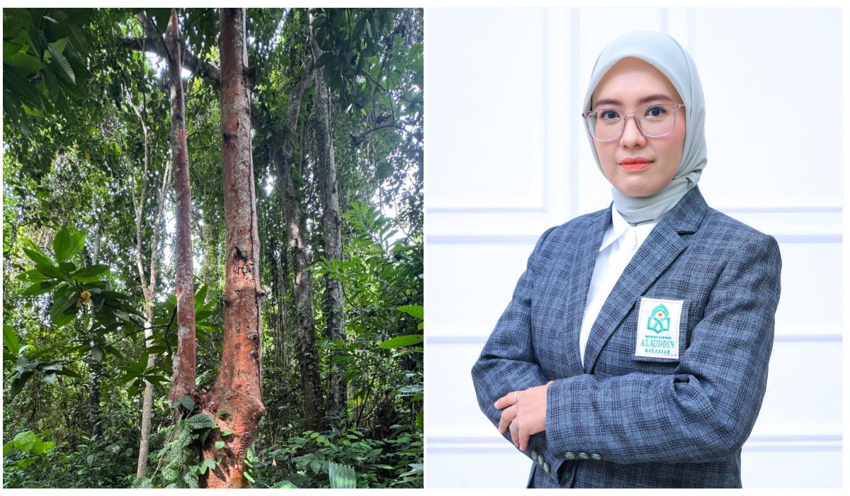 Isna-Radianah-hutan-kayu.jpg