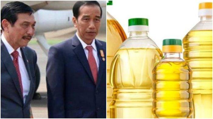 Luhut-Binsar-Panjaitan-untuk-urus-minyak-goreng.jpg