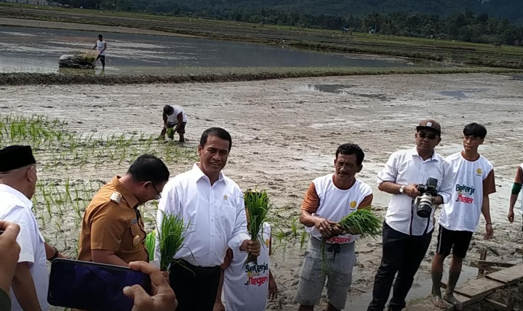 Menteri-Pertanian-Andi-Amran-Sulaiman-saat-penanaman-padi-bersama-di-Kelurahan-Mawa.jpg