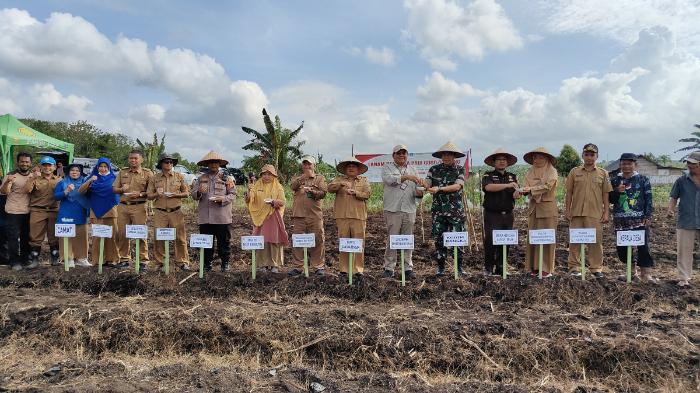 PENANAMAN-PADI-GOGO-BANGKA-TENGAH.jpg