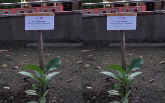 PLN UIW Sulselrabar Beri Bantuan Pohon Endemik di Parepare