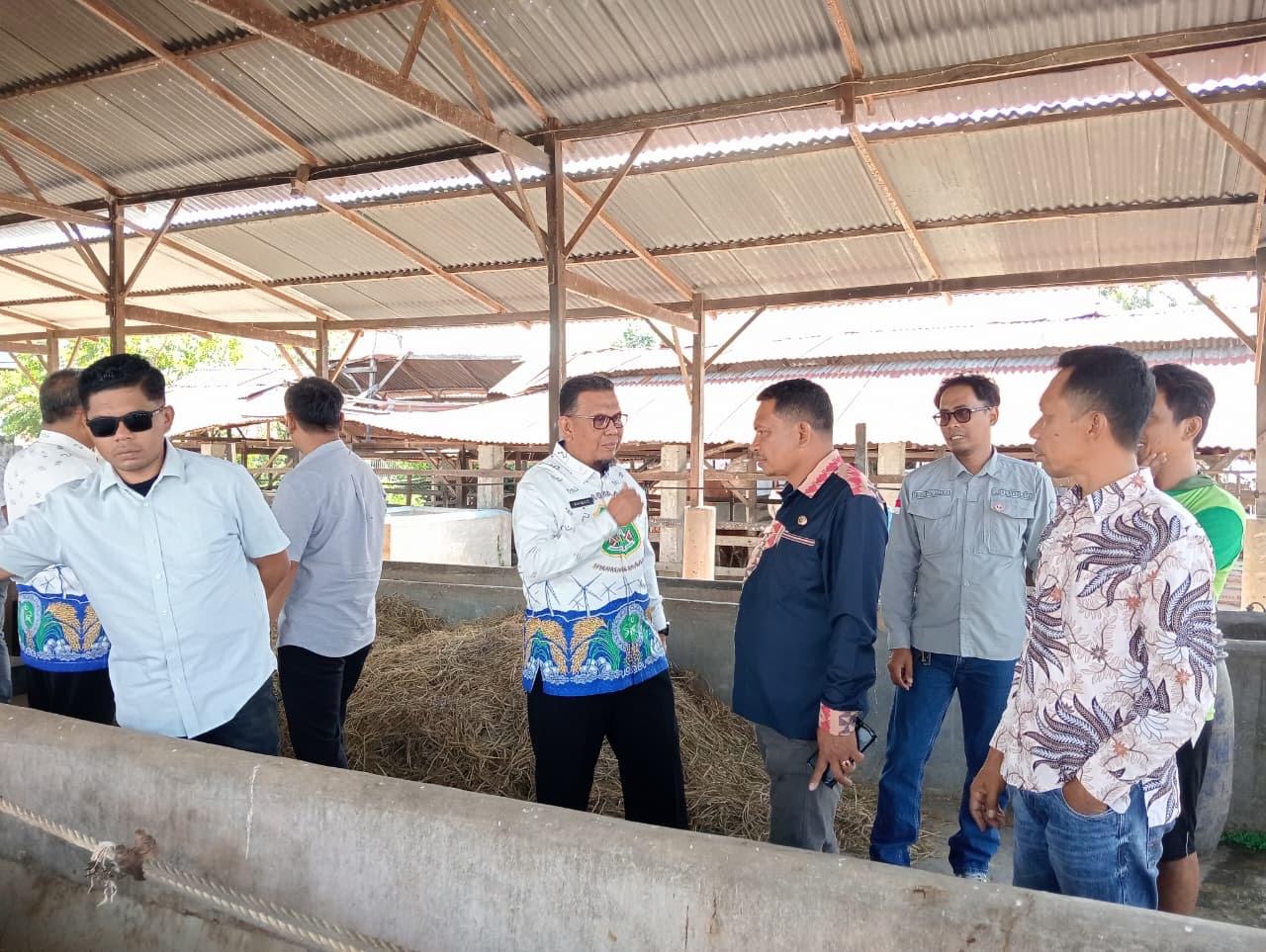 Sidrap Jadi Magnet Studi Tiru Pengembangan Peternakan Modern - Tribun-timur.com