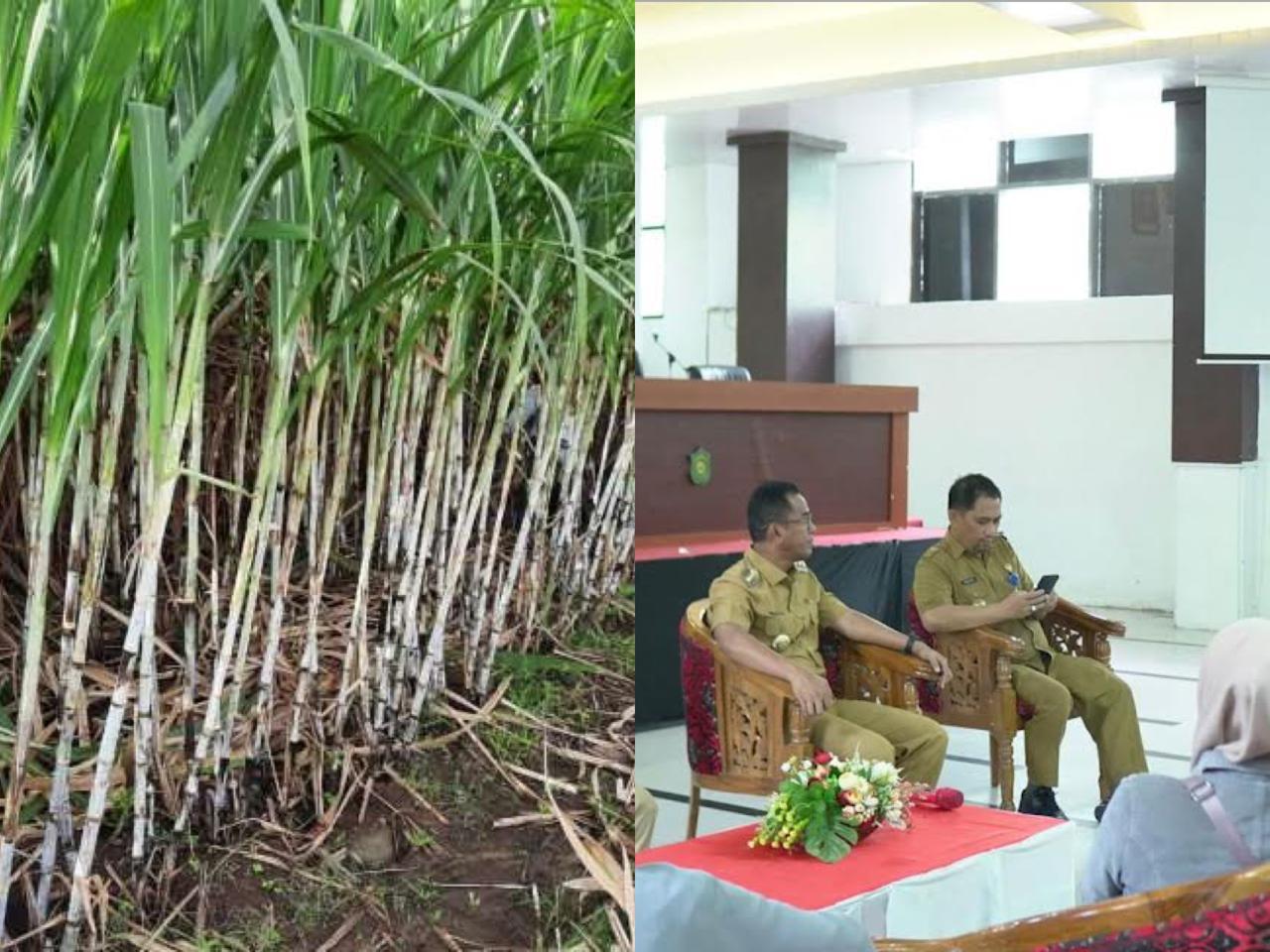 44 Tahun Tanahnya Dikuasai PTPN XIV, Warga Polongbangkeng Tagih Janji Pemkab Takalar Sulsel