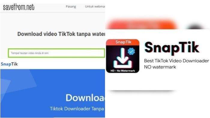 Saveform-TikTok-download-TikTok-tanpa-logo-atau-watermark-lebih-mudah-dan-cepat.jpg
