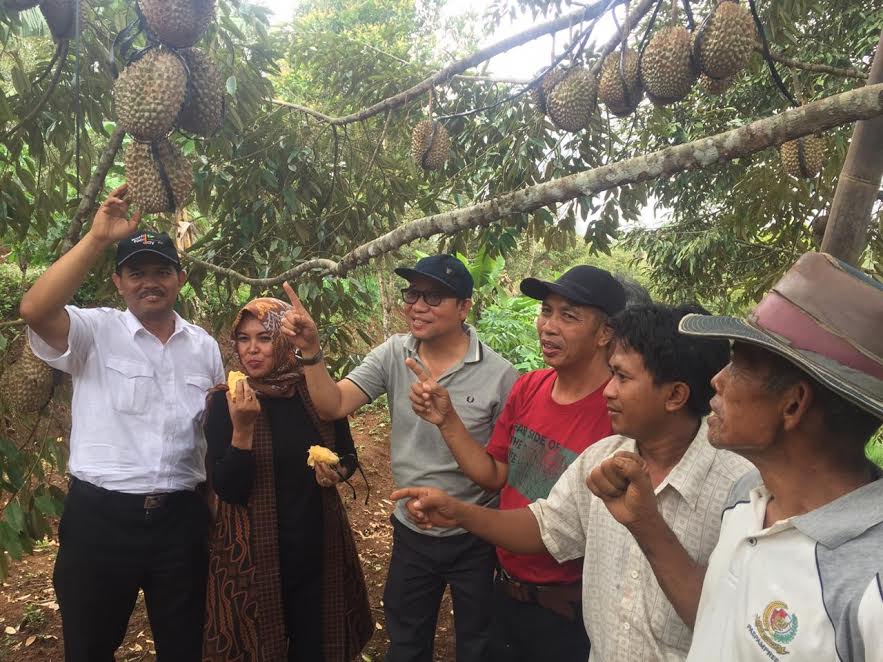 Kalahkan Durian Impor, Kementan-Banyumas Pacu Daya Saing Durian Lokal