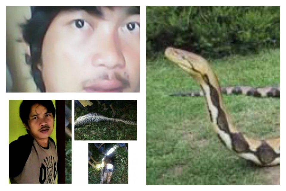 akbar-dan-ular-piton_20170330_140528.jpg