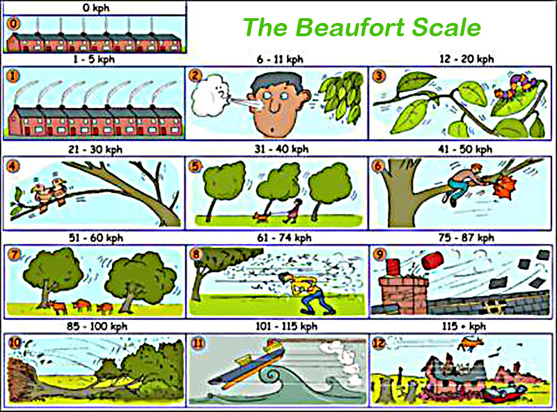 beaufort_scale1.jpg<pf>tumbang_pohon_dahan.jpg<pf>dahan_tumbang.jpg<pf>satu-pohon-tumbang-di-jl-sultan-hasanuddi.jpg<pf>pohon-tumbang-di-jl-chairil-anwar.jpg
