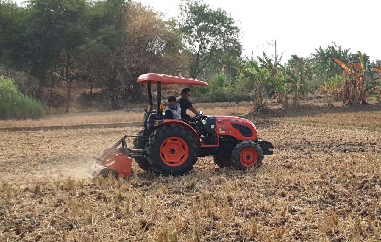 BPS: Pertanian Berperan Penting dalam Surplus Neraca Perdagangan Agustus 2019