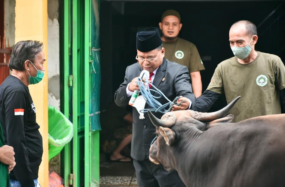 Hari Raya Iduladha, Pemkab Toraja Utara Sumbang 1 Ekor Sapi dan 6 Kambing