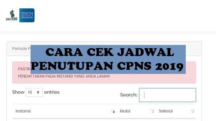Cara Cek Jadwal Penutupan Pendaftaran CPNS 2019 Semua Instansi di sscasn.bkn.go.id sscn.bkn.go.id