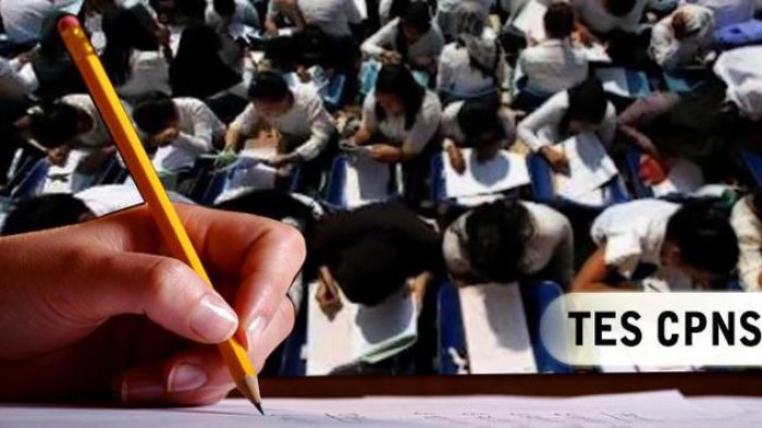 CPNS 2018 - Kabar Gembira, 2 Golongan Ini Bebas Tes SKB dan Prioritas PNS, Kamu Termasuk?