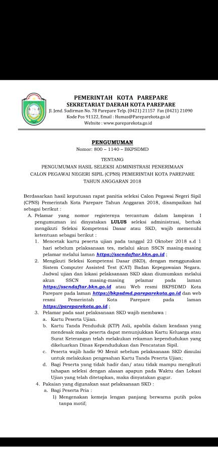 3.790 Pendaftar CPNS Parepare Dinyatakan Lulus Seleksi Administrasi
