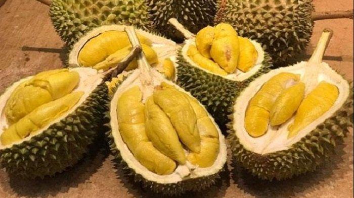 ilustrasi-buah-durian.jpg
