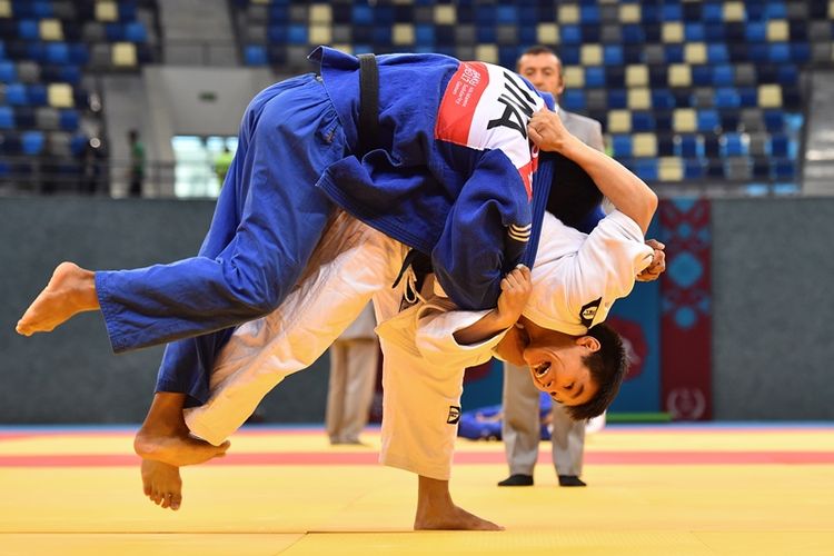 ilustrasi-judo-1-332020.jpg