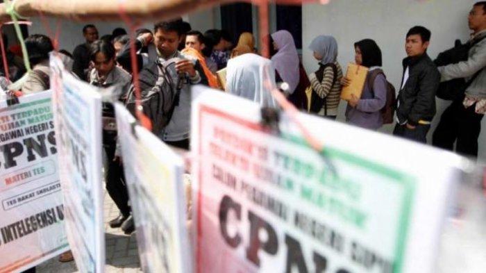 ilustrasi-pendaftaran-cpns-2019-1-1852019.jpg
