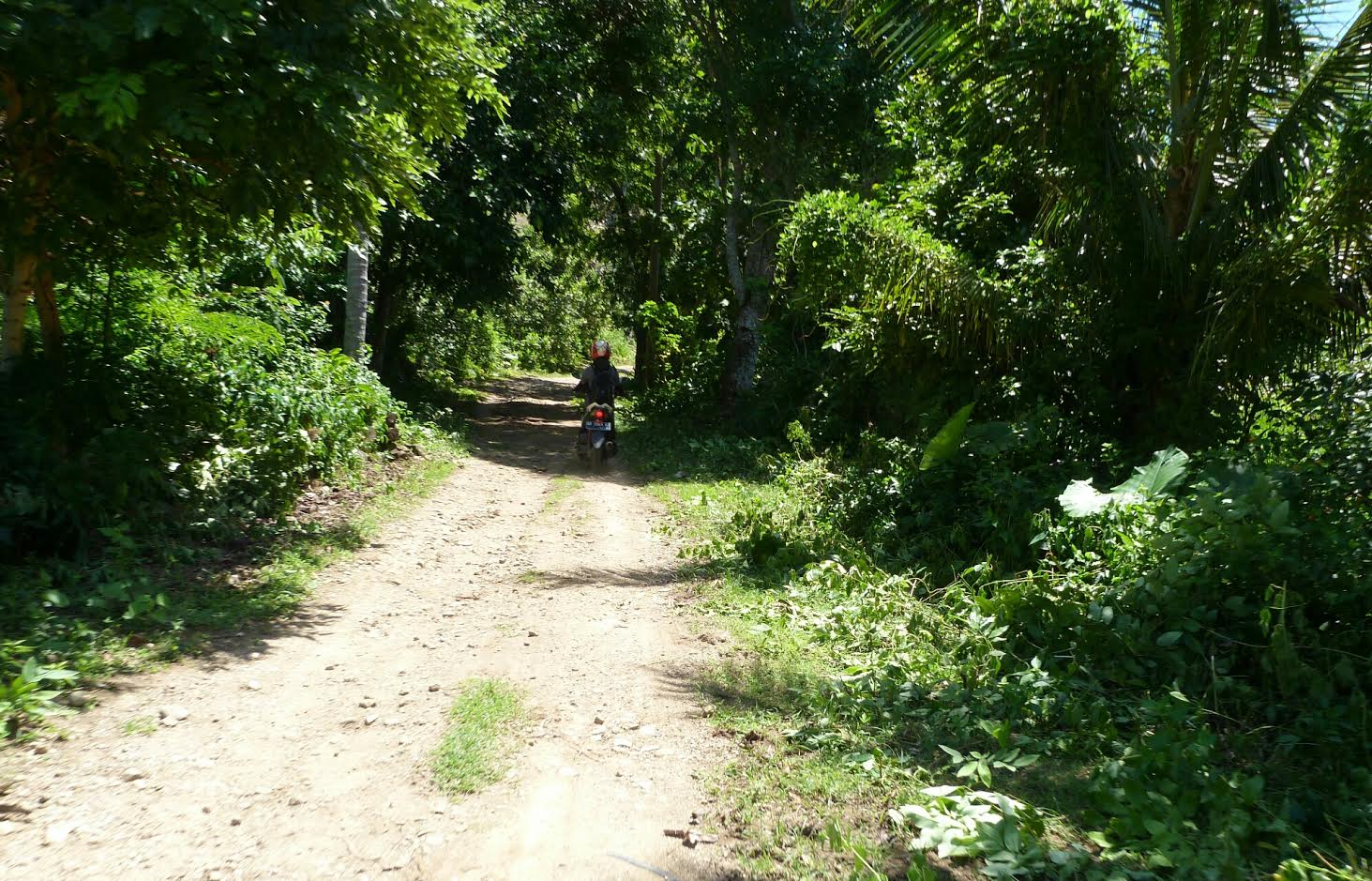jalan-desa-di-selayar_20170430_162243.jpg