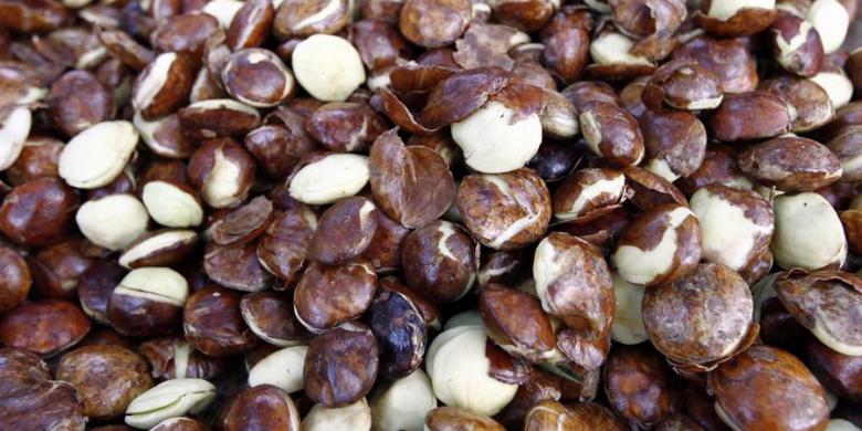 Untuk Penyuka Jengkol, Hati-hati Ginjal Anda