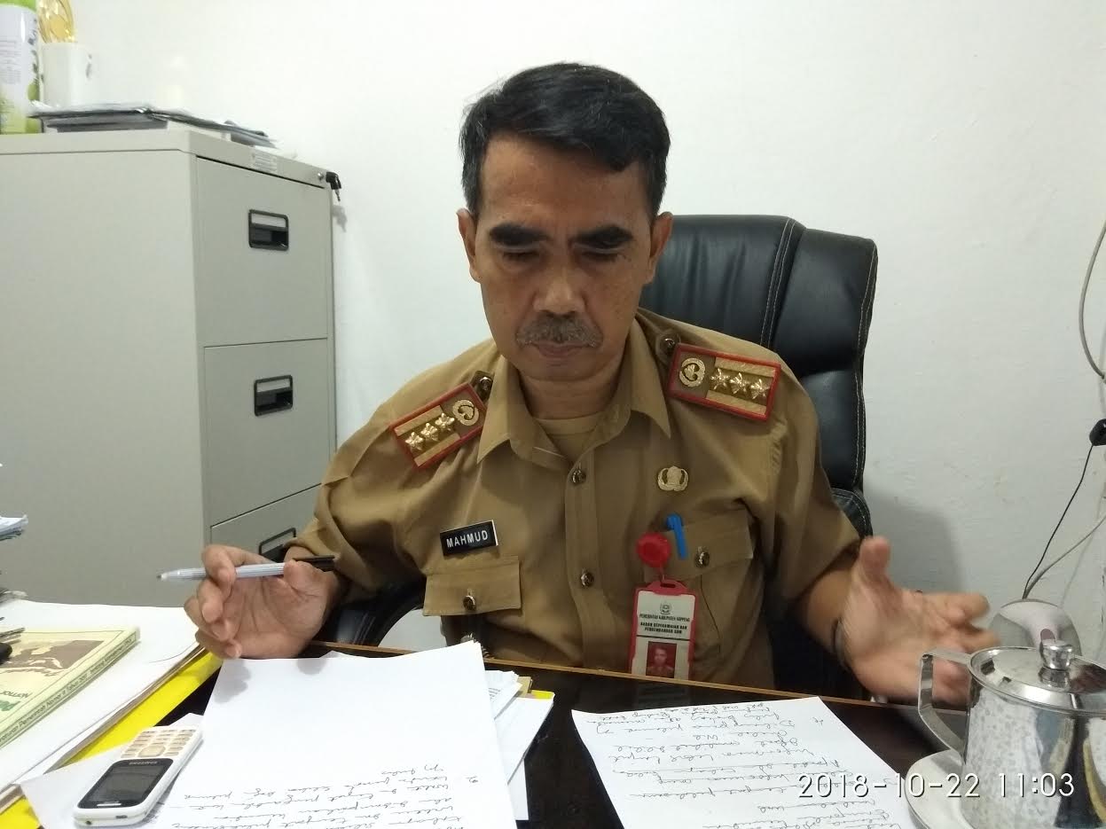 CPNS Soppeng Diminta Urus Keterangan Sehat di RSUD Latemmamala