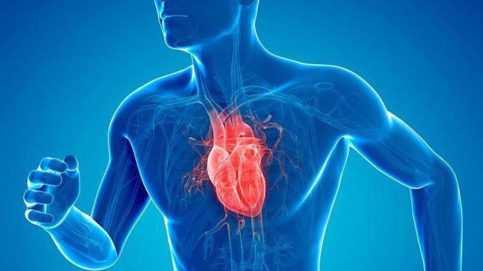 ketahui-pertolongan-pertama-pasien-serangan-jantung-segera-lakukan-hal-ini.jpg