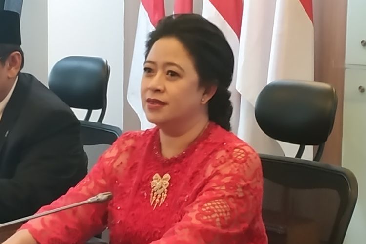 ketua-dpr-ri-puan-maharani-1-6102020.jpg