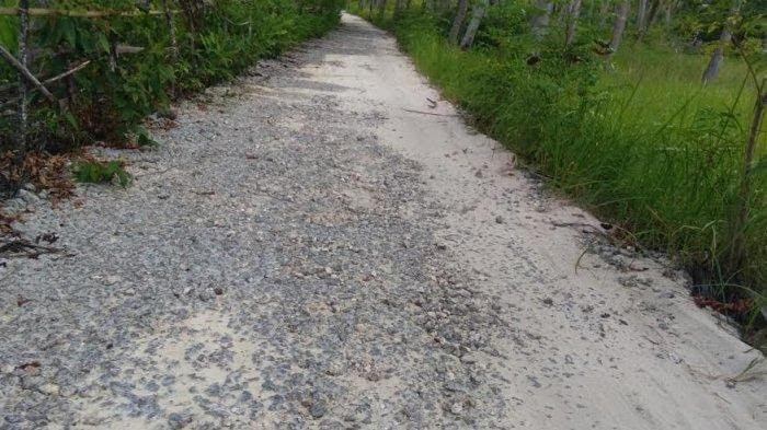 kondisi-jalan-di-desa-batang-kecamatan-takabonerate-mulai-rusak.jpg