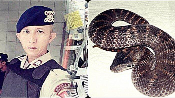 Porno onlayn yulduzni tomosha qiling