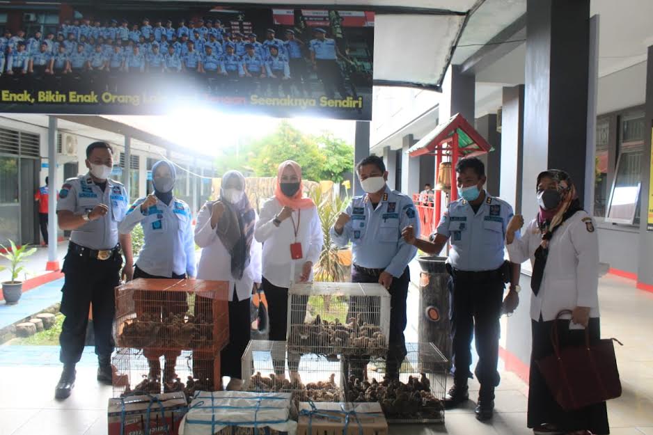 lapas-makassar-menerima-bantuan-400-ekor-burung-puyuh-untuk-budidaya.jpg