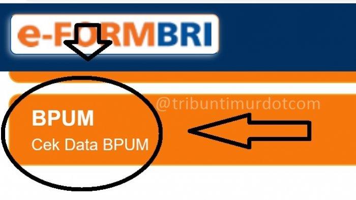login-eformbricoidbpum-cara-dapat-bpum-bri-rp-24-juta-dari-pemerintahan-presiden-jokowi.jpg