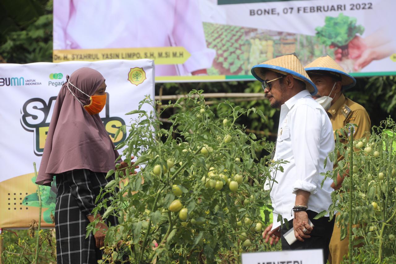 Mentan Ajak Masyarakat Bone Manfaatkan Pekarangan Rumahnya Jadi Lahan Produktif