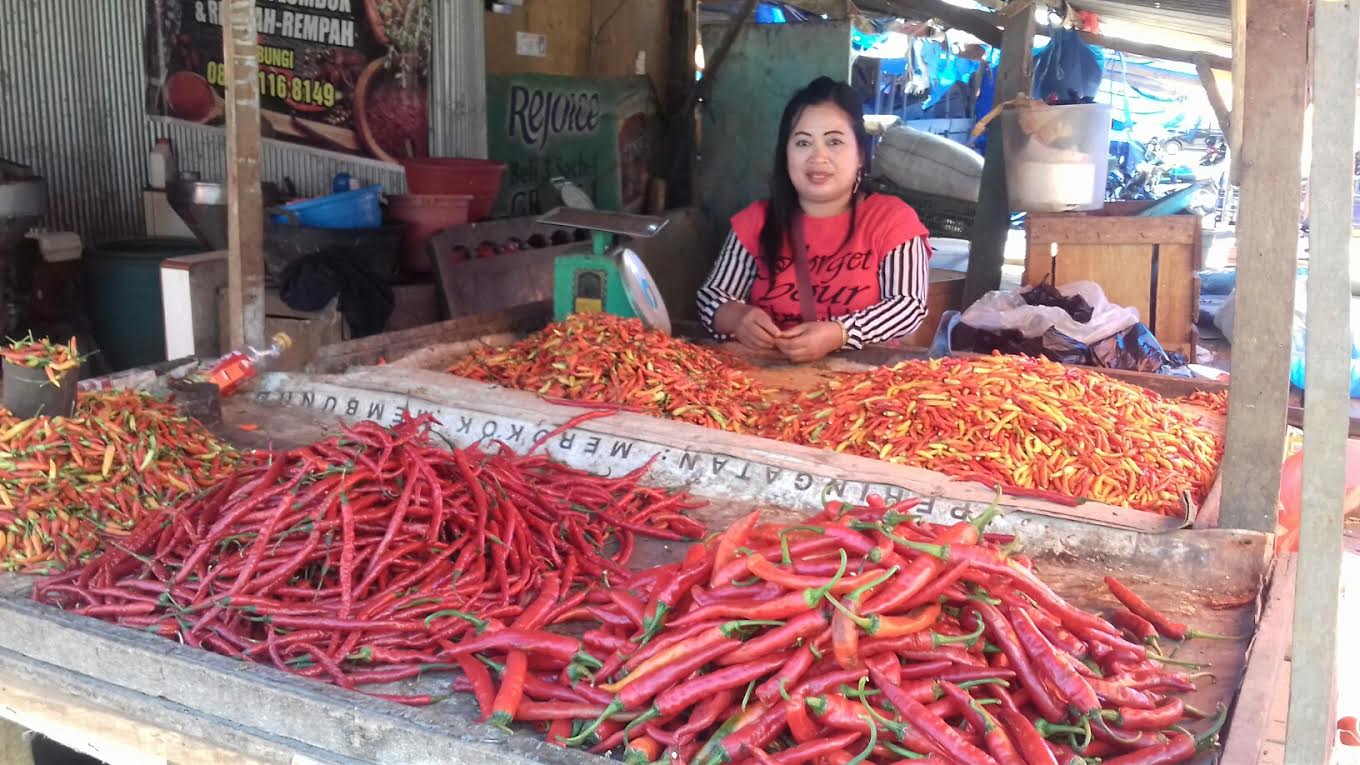 pedagang-cabai-di-pasar-terong-makassar_20160712_140306.jpg