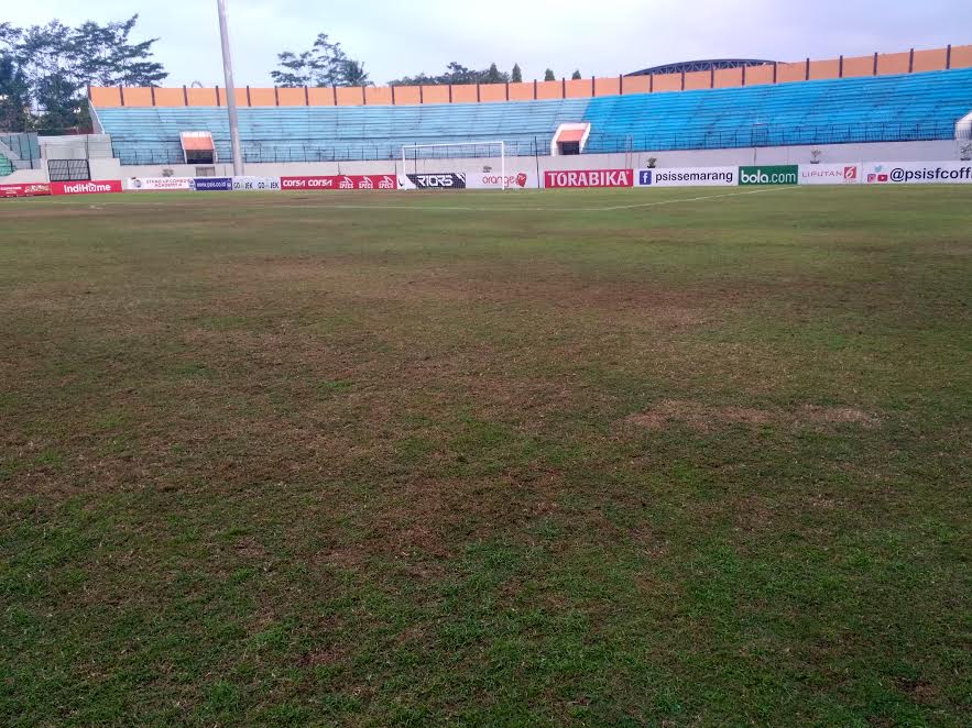 pelatiih-psm-makassar-robert-rene-alberts-mengeluhkan-kondisi-lapangan-stadion-moch-soebroto_20180730_075503.jpg