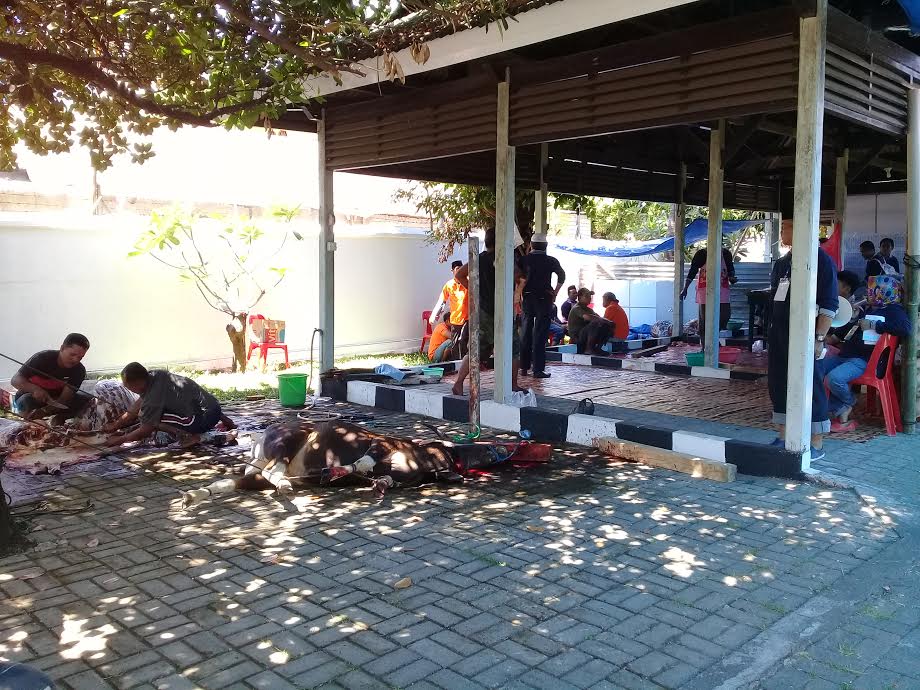 Pelindo IV Kurban 28 Sapi dan 10 Kambing, Sebar 2.340 Kupon