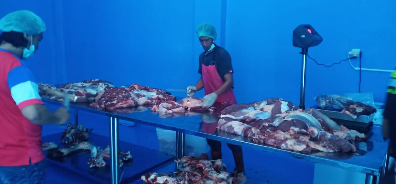 pemotongan-daging-sapi-di-pt-berdikari-united-live-stock-buls.jpg