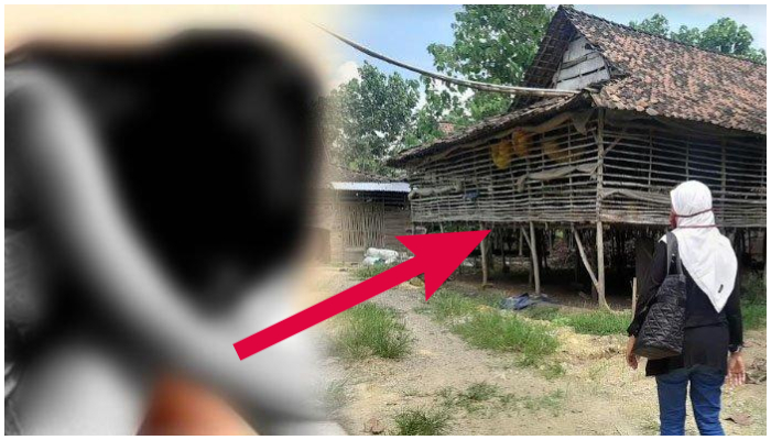 KRONOLOGI Bocah Gresik Dipaksa Berhubungan Badan di Kandang Ayam, Ketahuan saat Hamil 7 Bulan