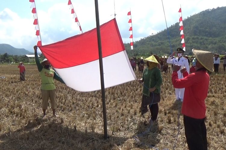 Peringati Hari Kemerdekaan, Puluhan Petani Upacara Bendera di Sawah, Ada Makna di Baliknya