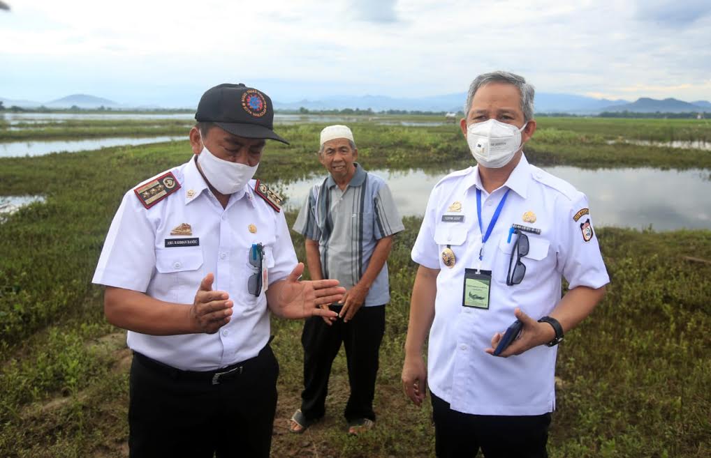 Kunjungi Area Persawahan di Manggala, Yusran Yusuf Sebut Hal Ini yang Perlu Dibenahi