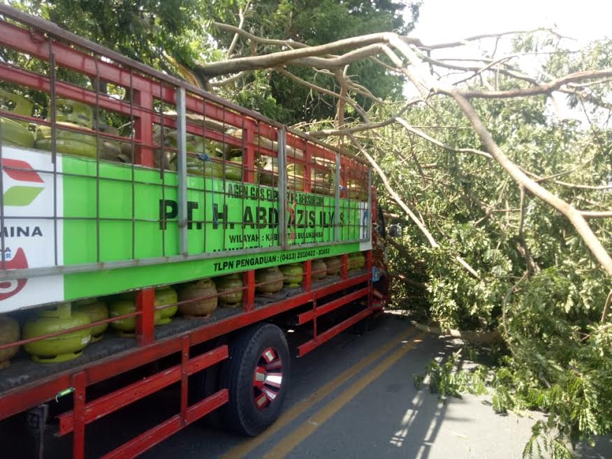 pohon-tumbang-yang-terjadi-di-kecamatan-ujung-bulu-tepatnya-di-teko-jalan-sulthan-hasanuddin.jpg