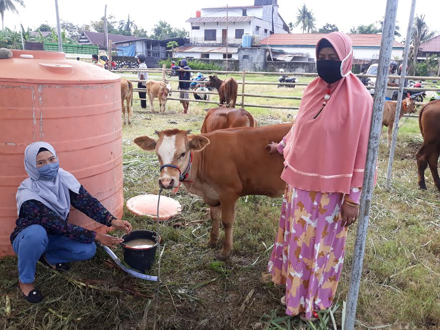 Sudah 20 Tahun Ramlah Pelihara Sapi, Kini Sudah Sarjanakan 2 Anaknya di Unhas