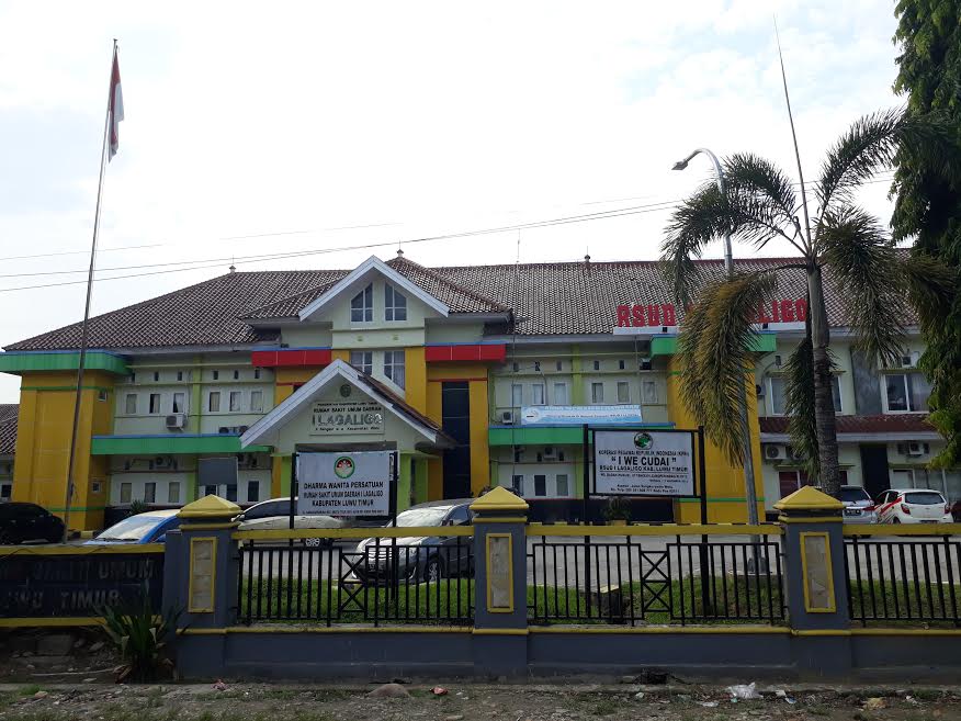 rsud-i-la-galigo-jl-sangkurwira-desa-arolipu-kecamatan-wotu-luwu-timur-952020.jpg