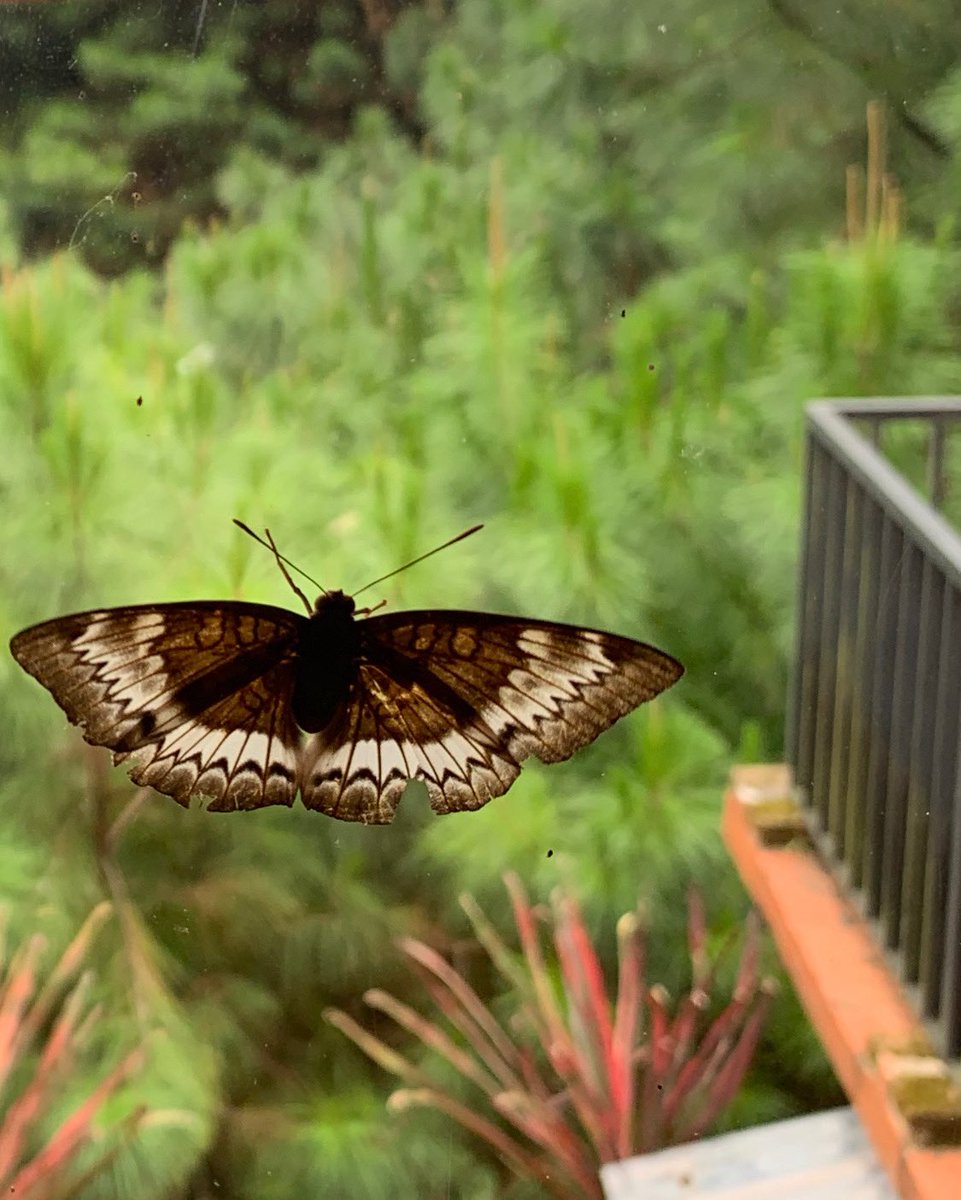 Terungkap Ternyata Ini Sumber Uang Rocky Gerung Hingga Bisa Bangun Rumah Indah di Pinggir Tebing