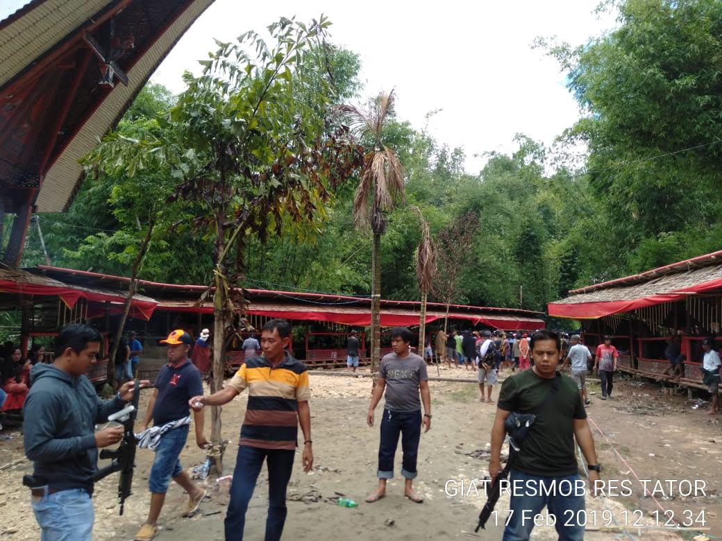 Polres Tana Toraja Tak Kenal Hari Libur Bubarkan Judi Sabung Ayam