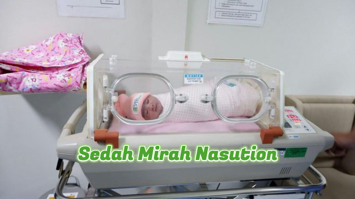 sedah-mirah-nasution_20180803_185455.jpg