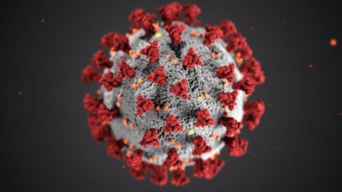 sejumlah-fakta-penelusuran-varian-virus-corona-b117-b1617-dan-b1351-di-indonesia.jpg