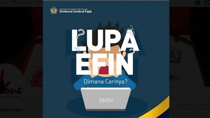 solusi-lupa-password-dan-lupa-efin-untuk-lapor-spt-online-di-link-djponlinepajakgoid.jpg